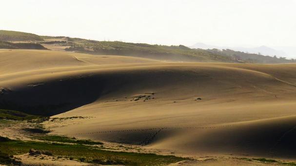 鳥取砂丘の火山灰地 鳥取砂丘,砂丘列,スリバチの写真素材