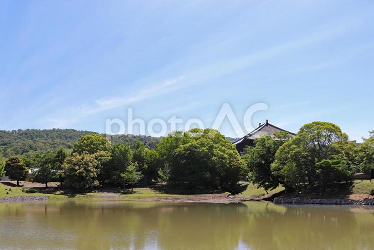 奈良・東大寺近くの大仏池 大仏池,奈良公園,東大寺の写真素材