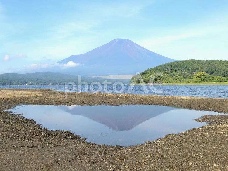 夏の富士山と逆さ富士(山中湖) 富士山,逆さ富士,山中湖の写真素材