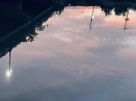 Photo, জল পৃষ্ঠ, প্রতিফলন, সকাল ভাস, 