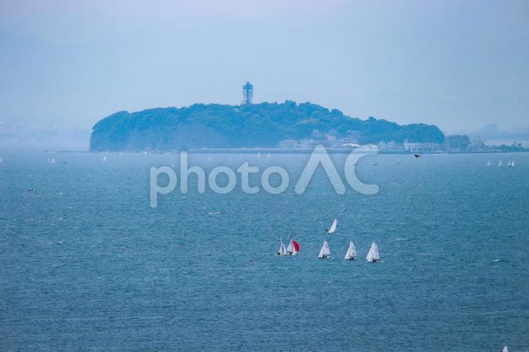 江の島とヨット群 海,夏,マリンスポーツの写真素材