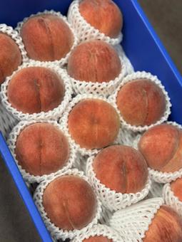 たくさんの桃 たくさんの桃 果物,八百屋,フルーツの写真素材