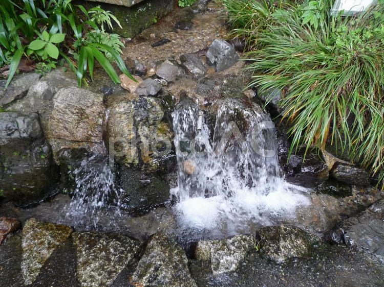 日本三大銘水　養老の湧き水 菊水泉,養老の滝,名水の写真素材