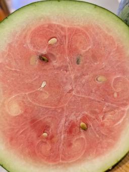Photo, watermelon, small watermelon, fruits, 