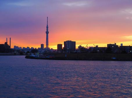夕焼けスカイツリーが映える中川 夕焼けスカイツリーが映える中川の写真