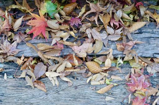 古い板の上の落ち葉 落葉,枯葉,秋の写真素材