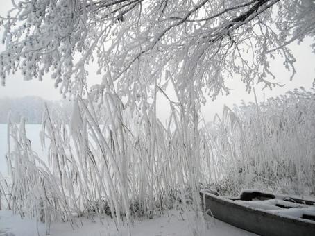 北欧の冬の写真