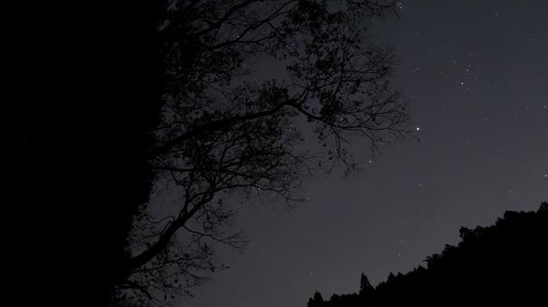 星降る森に眠る静けさ 星降る森に眠る静けさの写真