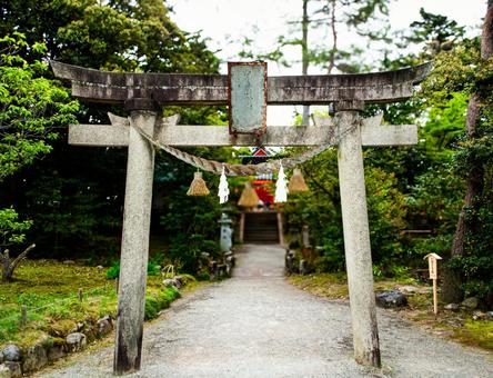金澤神社 金澤神社 風景,金沢,日本の写真素材