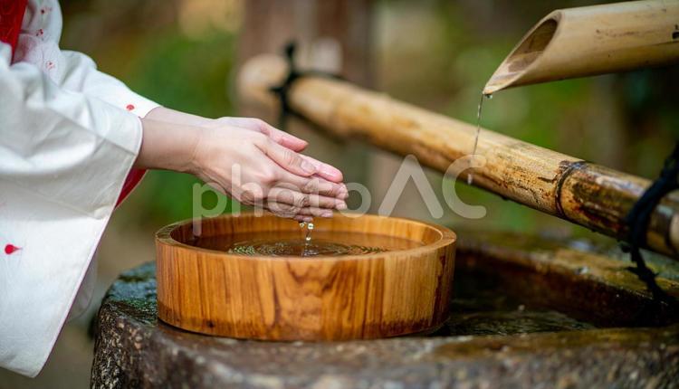 神社の手水舎で手を清める着物女性の手もと 手水舎,竹,手の写真素材