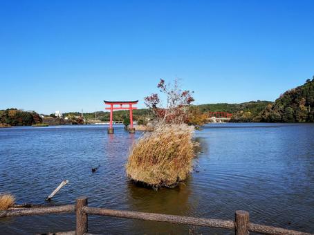 秋の亀山湖・湖面に浮かぶ鳥居（君津市） 秋,亀山湖,水天宮の写真素材