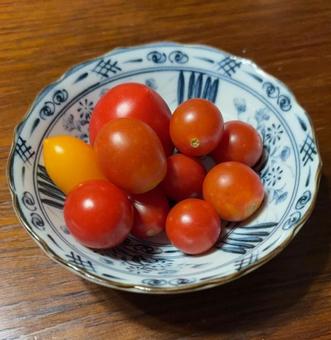 R7.08.16 自家栽培茹ミニトマト R7.08.16 自家栽培茹ミニトマトの写真