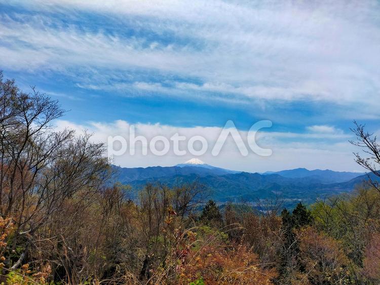 陣馬山の山頂から富士山を眺める　眺望　春 眺望,風景,山の写真素材
