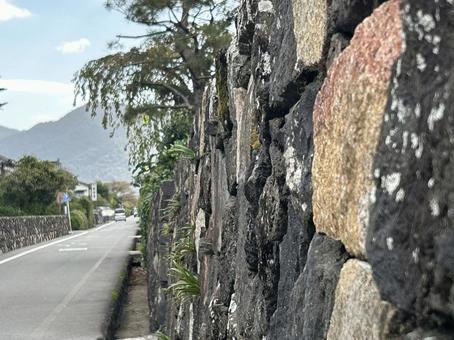 Photo, bush clover, ishigaki, rock, 