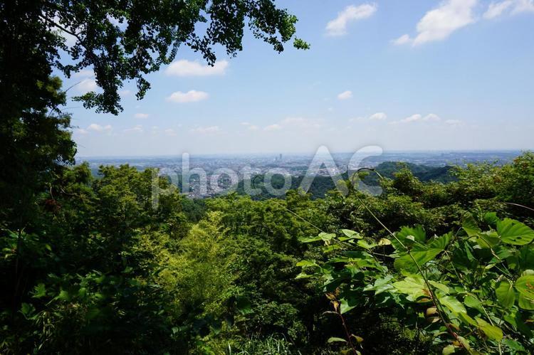 高尾山　金毘羅台園地からの眺め 高尾山,登山道,金毘羅台の写真素材
