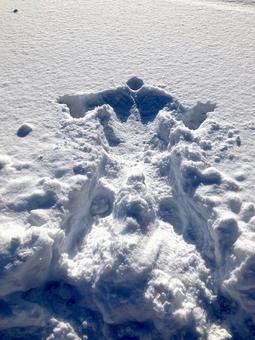 雪と人型 雪と人型 冬,東北,岩手の写真素材