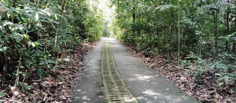Photo, singapore, foreign countries, southeast asia, 