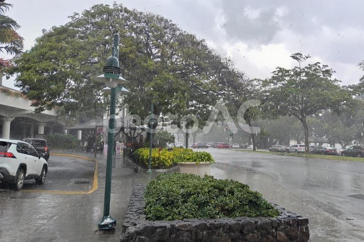 ハワイ　土砂降り　南国のスコール ハワイ,雨,土砂降りの写真素材