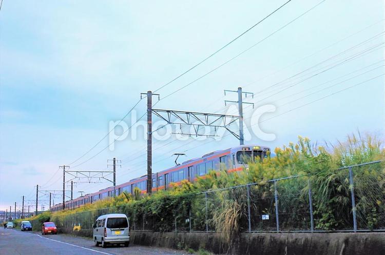 線路わきの黄色い秋と電車 電車,jr,黄色い花の写真素材