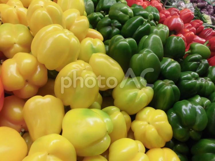 色とりどりのカラフル野菜1 vegetable,カラフル,カラーの写真素材