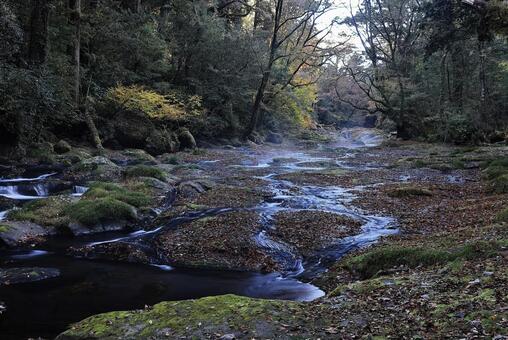 菊池渓谷 菊池渓谷,菊池川,光芒の写真素材
