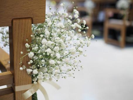 霞草 かすみそう,花,白い花の写真素材