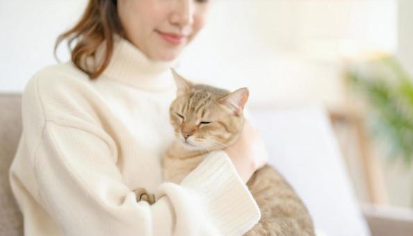 かわいい猫を抱く女性の手元アップ かわいい猫を抱く女性の手元アップの写真
