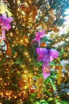 電飾で輝くクリスマスツリー 電飾で輝くクリスマスツリー クリスマスツリー,電飾,ライトの写真素材