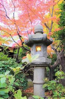 灯籠と紅葉 灯籠と紅葉の写真