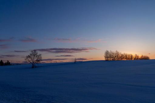 夕暮れの雪原と林 夕暮れの雪原と林 夕焼け,林,夕陽の写真素材