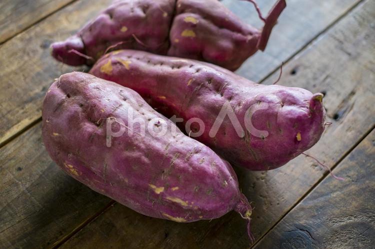 芋掘りで掘った巨大サツマイモ サツマイモ,さつまいも,芋の写真素材