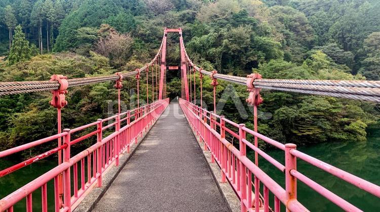 鱒淵ダムの赤い吊り橋 吊り橋,赤い橋,鱒淵ダムの写真素材