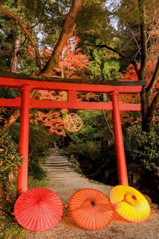 岡寺 岡寺,紅葉,稲荷社の写真素材