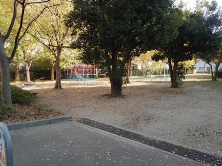 公園 公園の写真