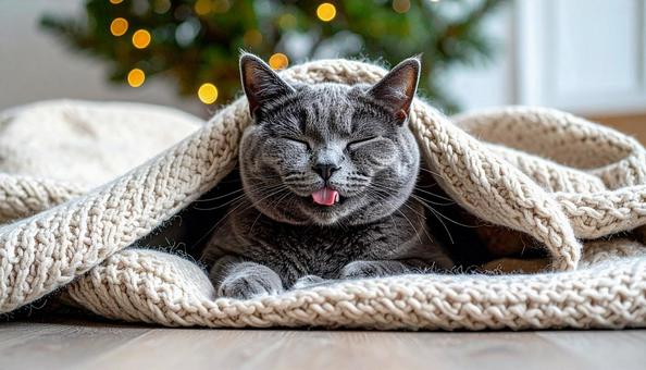 舌を出す猫 舌を出す猫の写真