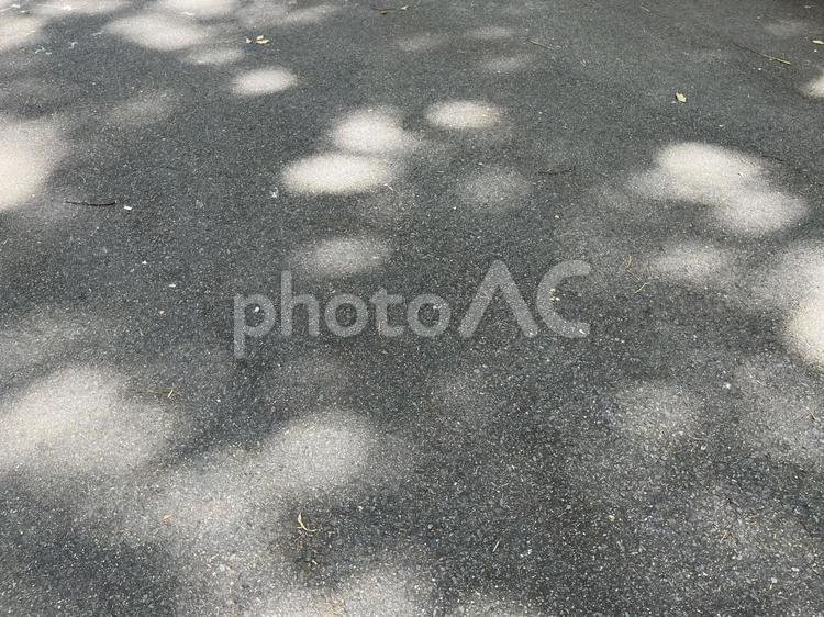 木漏れ日が差しこむアスファルト 木漏れ日,影,晴れの写真素材