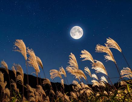 七夕の夜、ススキ越しに見上げる満月と星空 七夕の夜、ススキ越しに見上げる満月と星空の写真