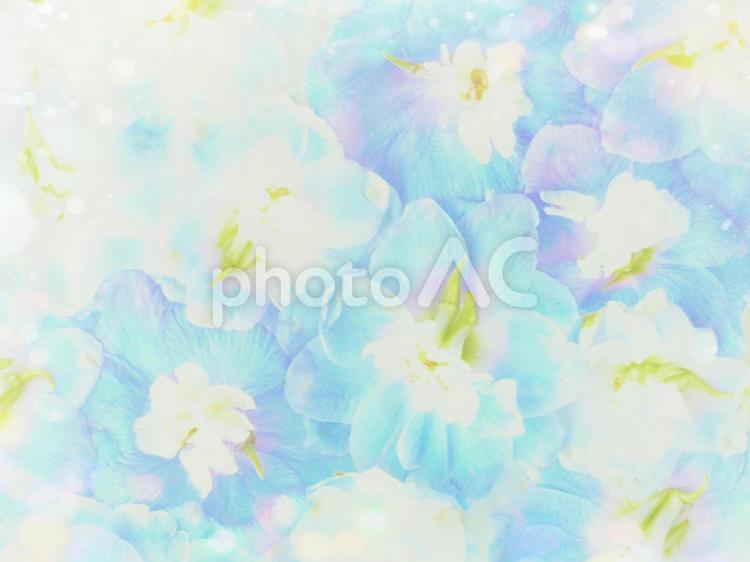 青い花のふんわり背景　淡い 花,青い花,デルフィニウムの写真素材