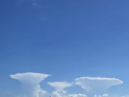 傘雲 傘雲 傘雲,青空,青の写真素材