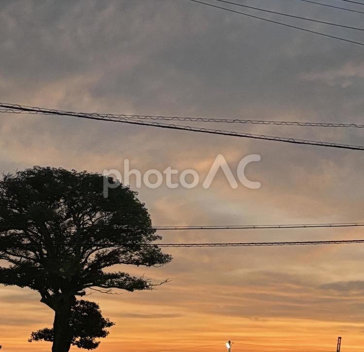 夏の夕焼け 夏,空,雲の写真素材