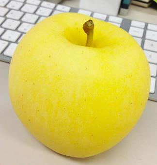りんご りんご,黄りんご,青リンゴの写真素材