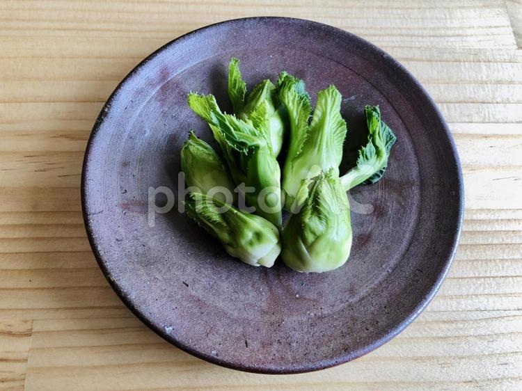 備前焼のお皿に置いた春の野菜子持ちタカナ 春,春野菜,タカナの写真素材