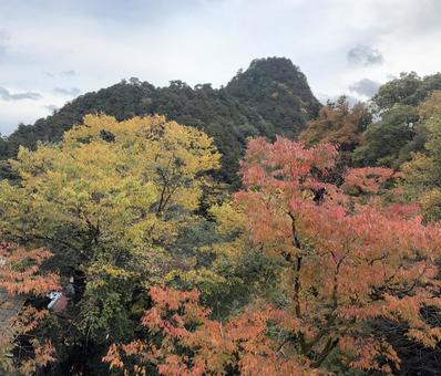 奥多摩の愛宕山 紅葉,奥多摩,渓谷の写真素材
