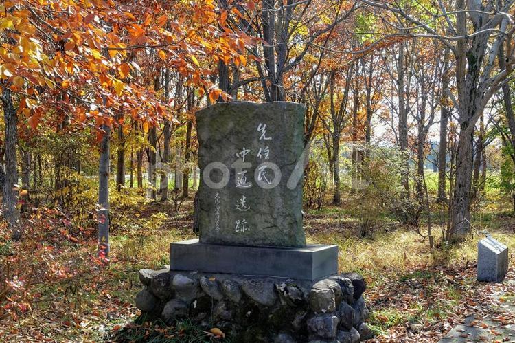 先住民中通遺跡記念碑付近の紅葉 記念碑,石碑,先住民中通遺跡の写真素材