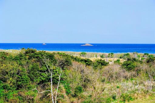 久美浜海岸 海岸,日本海,海の写真素材