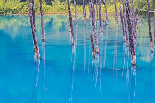 Photo, biei, biei-cho, blue pond, 