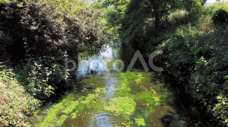 夏の安曇野　田園地帯を流れる清らかな流れ 安曇野市,夏,清流の写真素材