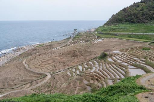 田植え前の白米千枚田 田植え前の白米千枚田 千枚田,白米,田植え前の写真素材