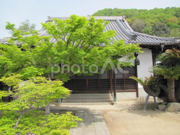 【風景写真】万福寺(広島県三原市) 万福寺,真言宗,寺社仏閣の写真素材
