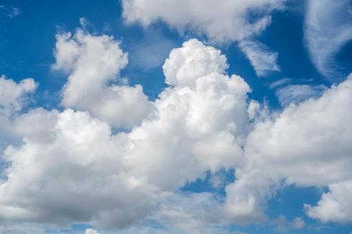 夏の雲 夏の雲の写真